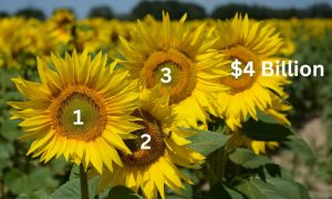 Kansas Sports Betting tops $4 billion
