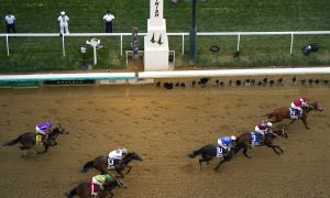 What is a Show Bet in Horse Racing?