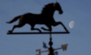 Our 2024 Kentucky Derby betting trends feature hidden value, horse speed figures, and superfectas. Also, input from DraftKings director.