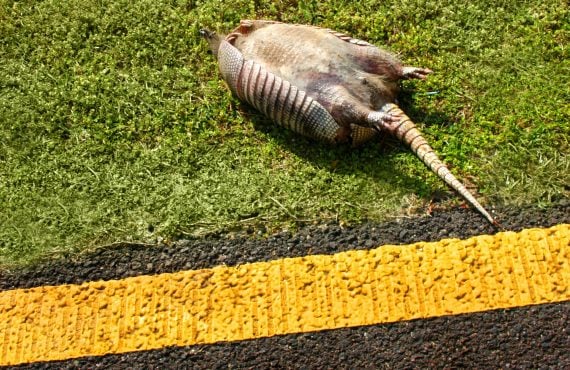 Mississippi sports betting dead