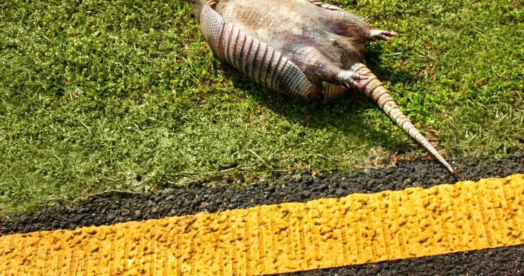 Mississippi sports betting dead