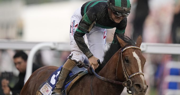 Will Mystik Dan run at the Preakness Stakes? Trainers sensitive to their horse’s health and breeding capacity are routinely bypassing.