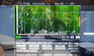 NFL fantasy