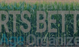 Nebraska-sports-betting-launch
