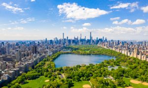 New York achieved $188 million in online sports betting revenue for December. This surpassed the previous highest recorded in Oct. 2023. (Shutterstock/Pandora Pictures)