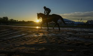 The 2024 Preakness Stakes should continue its trend of good value. Read our betting guide for the best bets and race predictions.