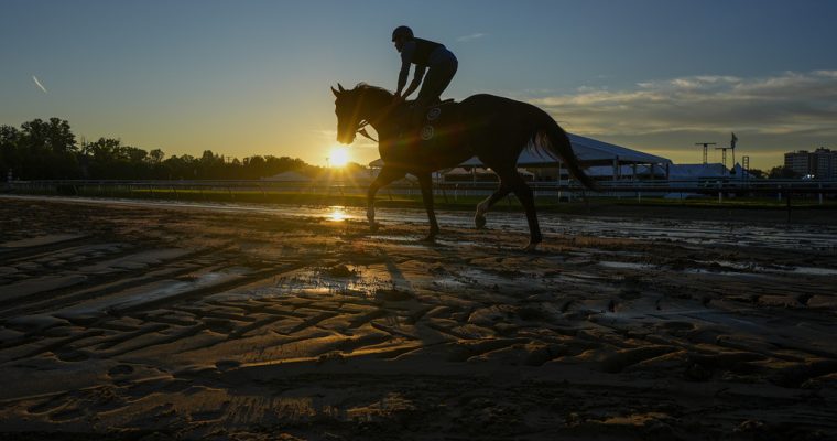 The 2024 Preakness Stakes should continue its trend of good value. Read our betting guide for the best bets and race predictions.