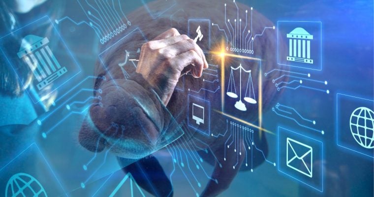 Florida sports betting analysis