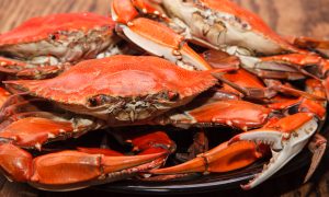 blue-crab