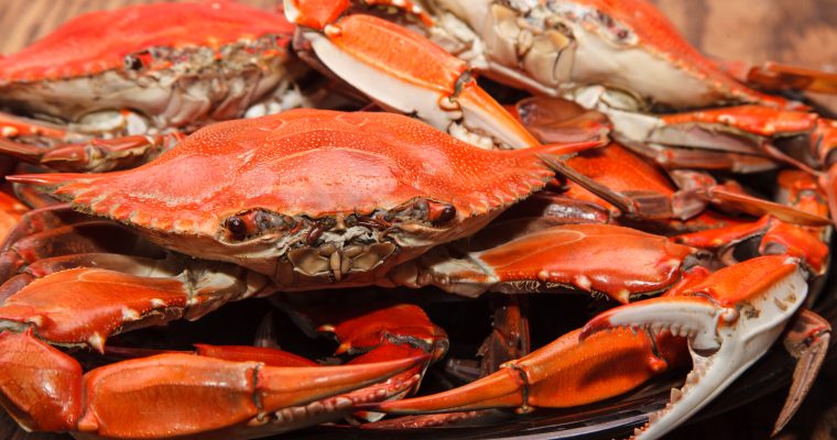 Minority-Owned Crab Sports Becomes 11th Mobile Sportsbook in Maryland