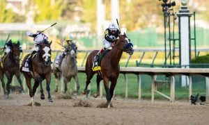 HORSE RACING: SEP 05 Kentucky Derby
