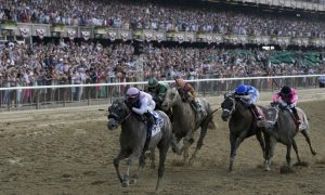 Fixed odds on horse racing could help grow the sport in US.