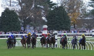 Kentucky Fixed-Odds Horse Racing