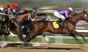 Horse racing is included in North Carolina's sports betting bill.