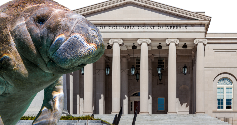 Florida-amicus-briefs