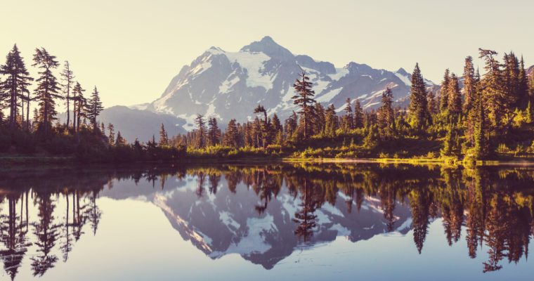 Sports Betting Is Now Legal In Washington State