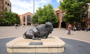 Boulder,,Colorado,,Usa,-,August:,University,Of,Colorado,Bison's,Mascot
