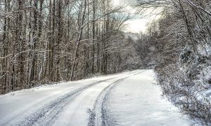 Bovada West Virginia