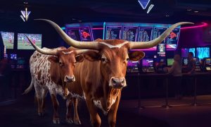Texas sports betting