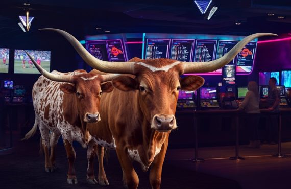 Texas Pro Sports Team Owners Remain Hopeful for Legal Sports Betting in 2025