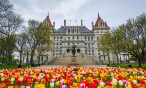 New York State Capitol, Albany
