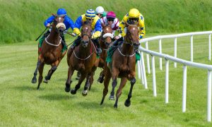 Fixed-odds horse racing is being discussed among Vermont sports betting stakeholders.
