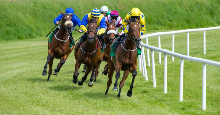 Fixed-odds horse racing is being discussed among Vermont sports betting stakeholders.