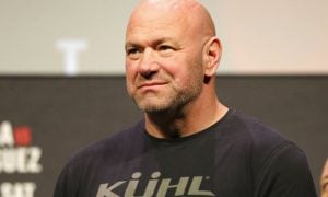Dana White's Slap Fighting league will not be added to Massachusetts sports betting catalog.