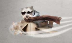 a dog in an aviator costume flying through the air