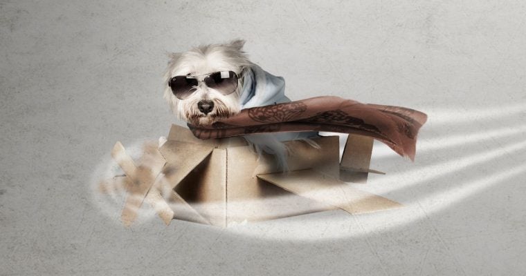 a dog in an aviator costume flying through the air