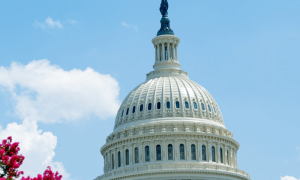 Congressional lawmakers are requesting a crackdown on offshore sportsbooks.