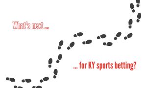 What's next? Sports betting regulations.